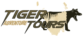 Tiger Adventure Tours Tasmania